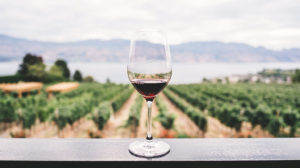 photo of a glass of wine on a balcony with grape vines and mountains behind